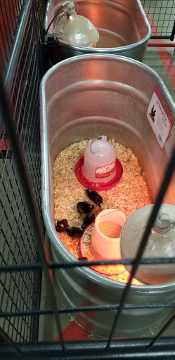 Home Improvement Store «Tractor Supply Co.», reviews and photos, 985 Octorara Trail, Parkesburg, PA 19365, USA