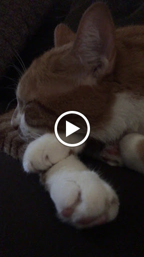 Home Improvement Store «Menards», reviews and photos, 1800 Marketview Dr, Yorkville, IL 60560, USA