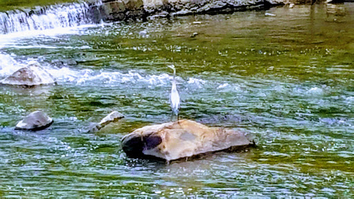 State Government Office «Wilmington State Parks», reviews and photos, 1021 W 18th St, Wilmington, DE 19802, USA