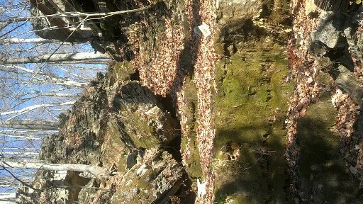 Convenience Store «Sweet Owen Country Store», reviews and photos, 5850 State Hwy 22, Owenton, KY 40359, USA