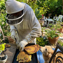Beekeepers Association-Orange - Photo 4 - Car repair in Anaheim, CA, Fullerton