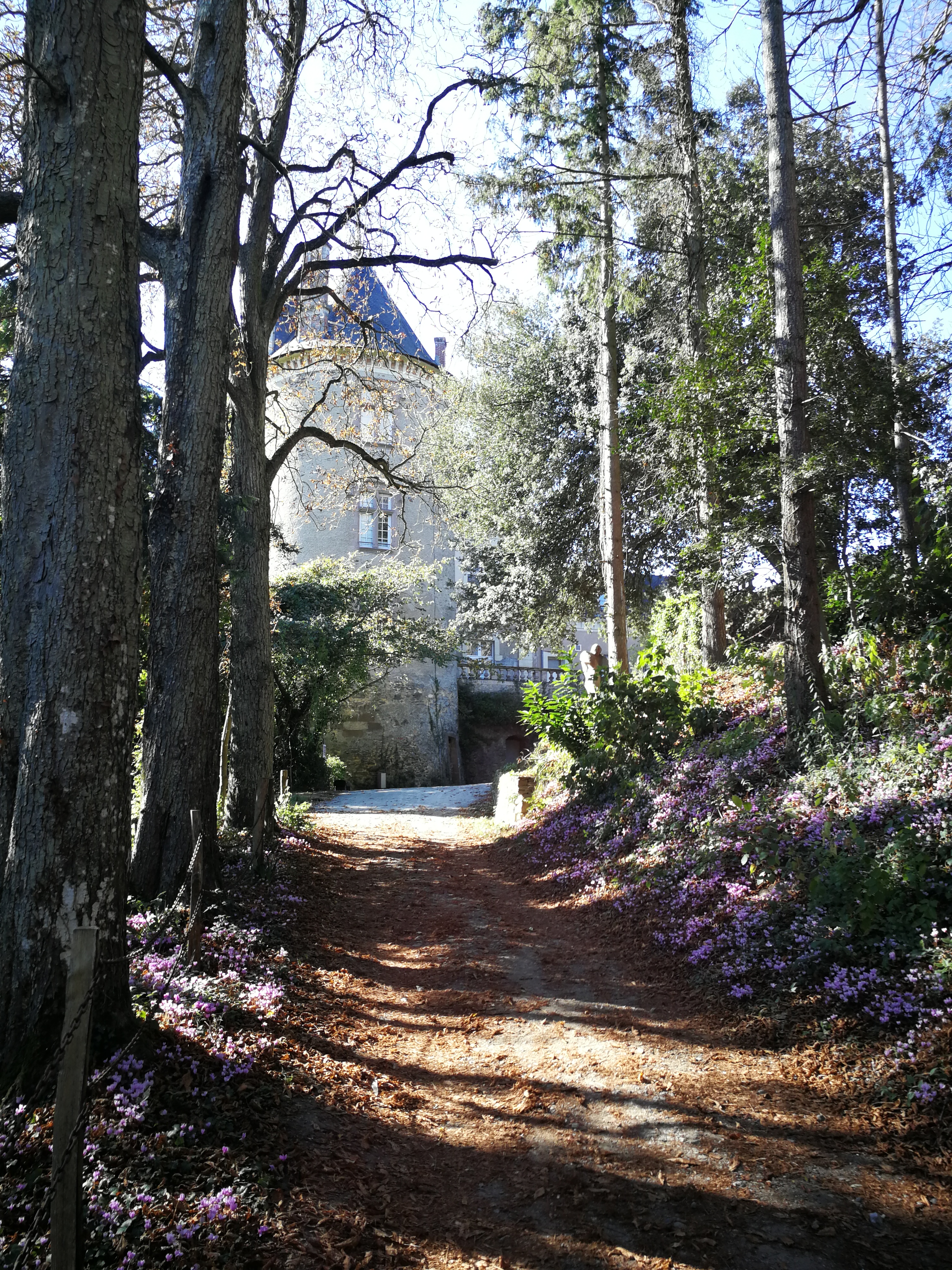 Photo n° 1 de l'avis de Maurice. fait le 05/10/2018 à 14:21
