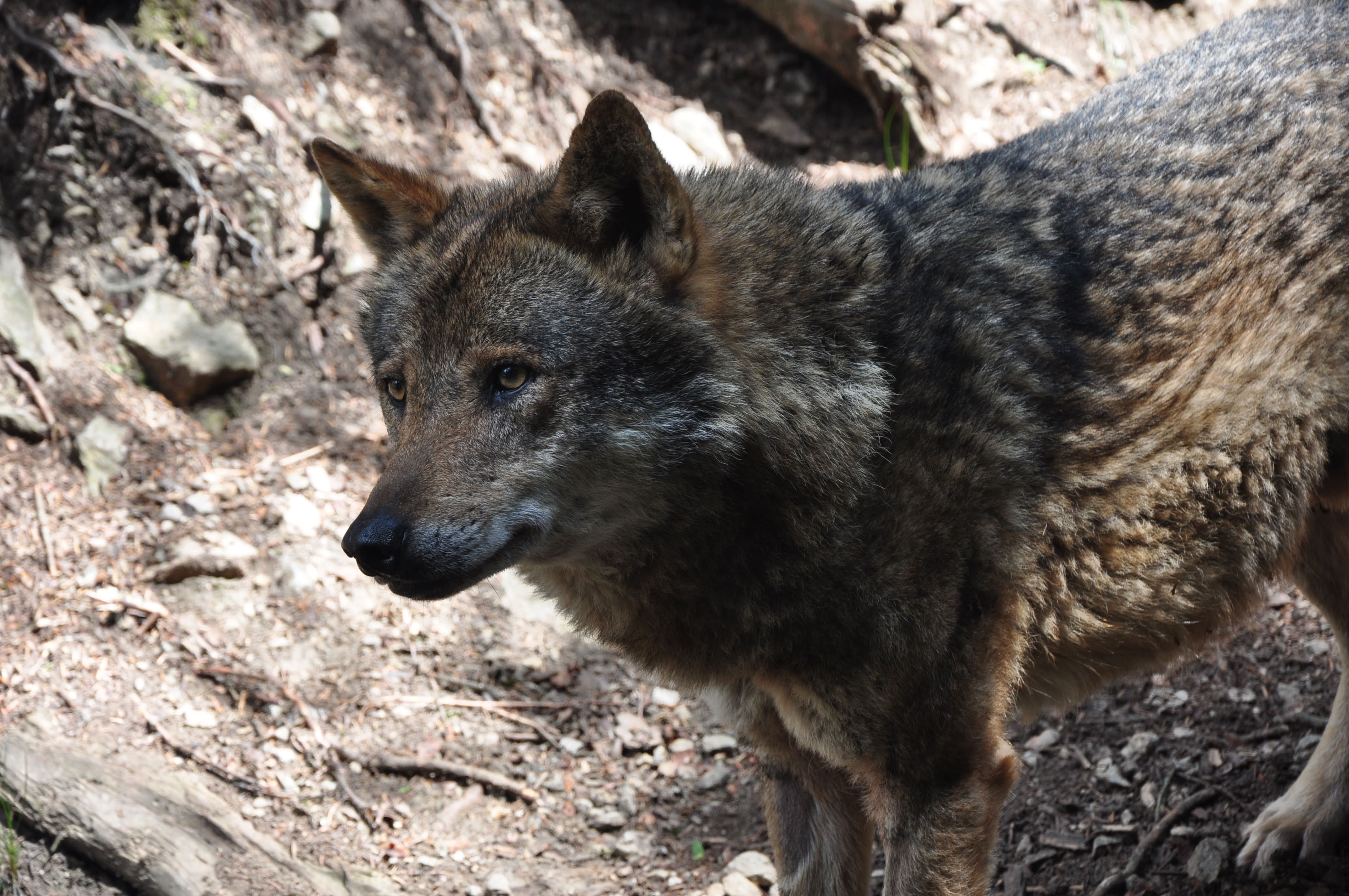 Photo n° 4 de l'avis de Cyrille.E fait le 29/05/2023 à 15:00