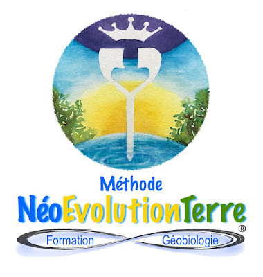 Fioux géobiologue & Formateur à Peyrehorade