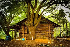Yelagiri Bamboo Cottage image