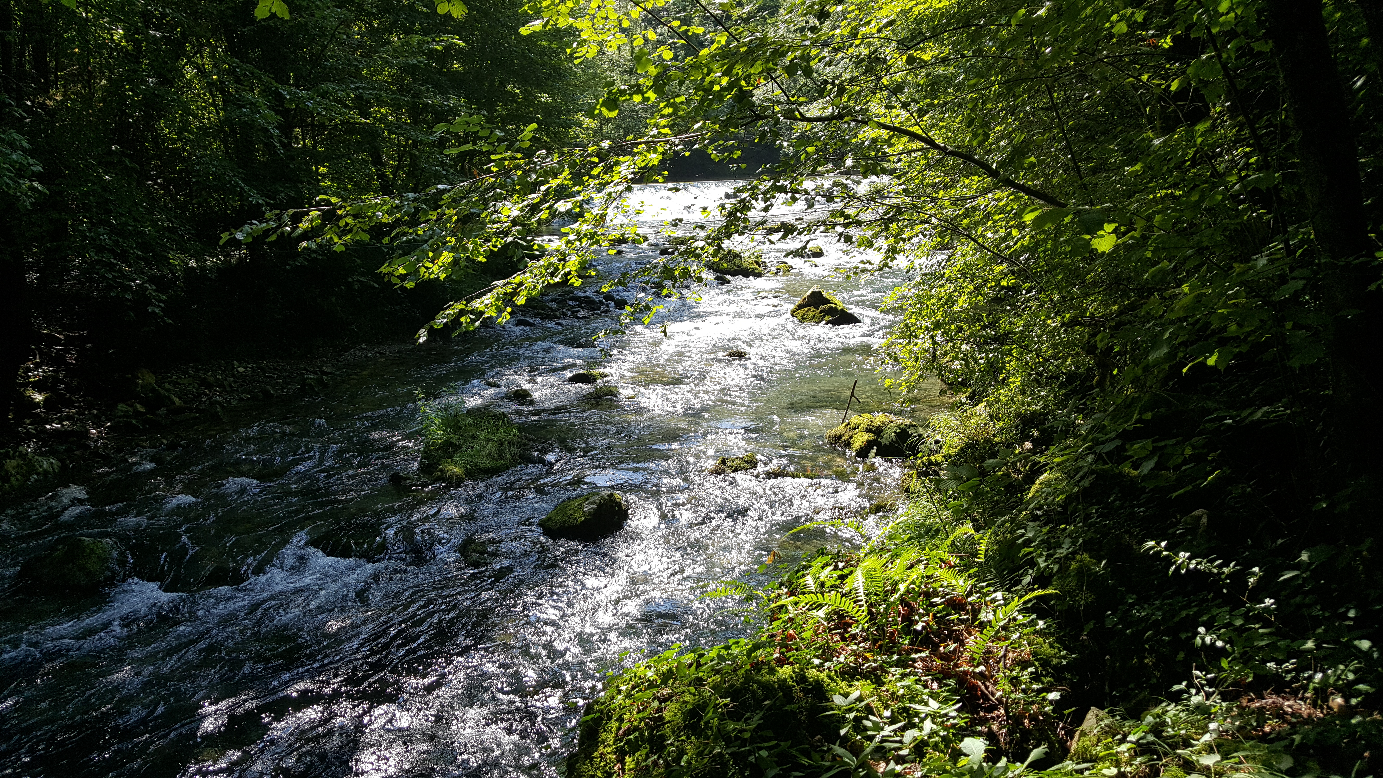 Photo n° 1 de l'avis de Sylvie.a fait le 13/08/2018 à 16:52