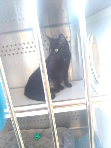 Pet Supply Store «Petsense Cleburne», reviews and photos, 1301 W Henderson St, Cleburne, TX 76033, USA