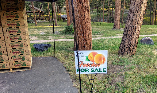 Museum «Hiwan Homestead Museum», reviews and photos, 4208 Timbervale Dr, Evergreen, CO 80439, USA