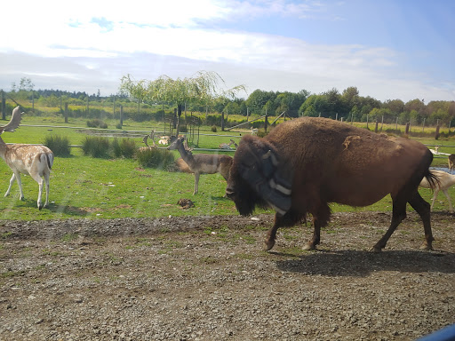 Casino «Kansas Star Casino», reviews and photos, 777 Kansas Star Drive, Mulvane, KS 67110, USA