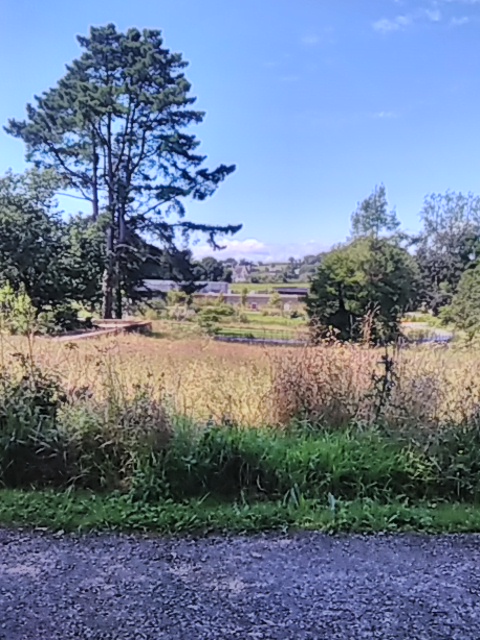 Photo n° 13 de l'avis de Francis.u fait le 19/08/2021 à 18:02