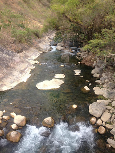 Opiniones de Recreo campestre Paraíso Escondido - El Sauce en Tingo - Pub