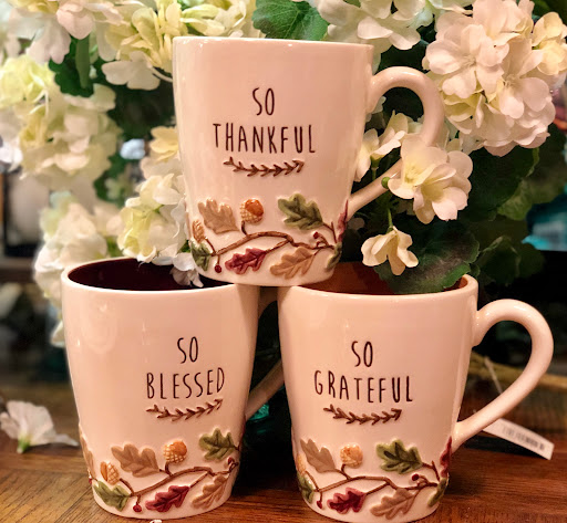 Gift Shop «Seedlings Gifts & Books», reviews and photos, 521 W 78th St, Chanhassen, MN 55317, USA