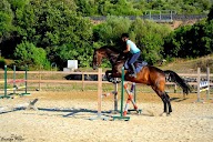 Centro Equestre Li Tauli - A.S.D. - Cugnana - Sardegna