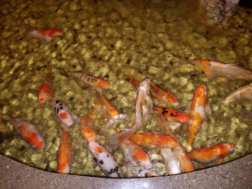 Shopping Mall «Collegetown Shopping Center», reviews and photos, 731 Delsea Dr, Glassboro, NJ 08028, USA