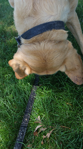 Park «Ruedisale Point Park», reviews and photos, 50400 Ruedisale St, New Baltimore, MI 48047, USA