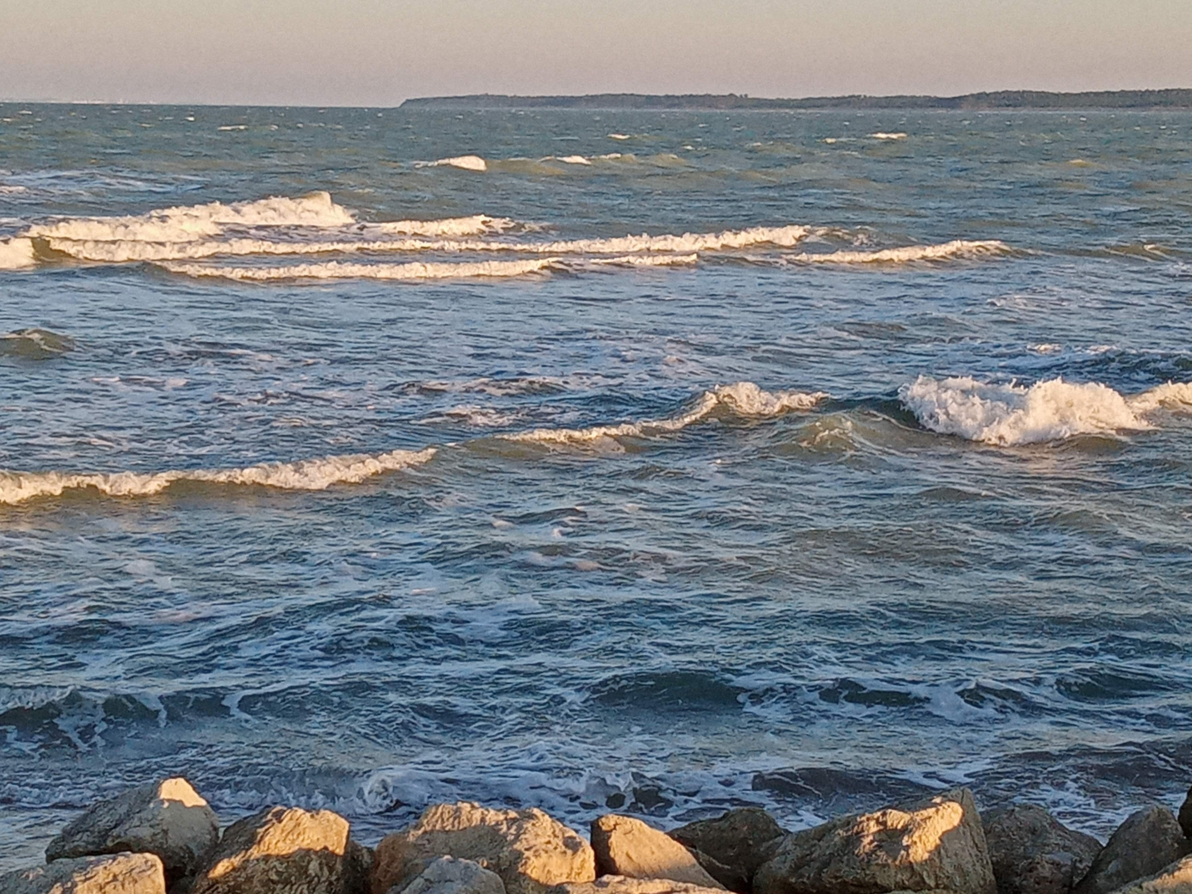 Photo n° 2 de l'avis de Muriel.F fait le 29/11/2020 à 16:13