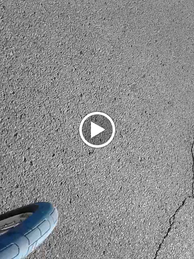 Park «George Rogers Clark Park», reviews and photos, 1024 Thruston Ave, Louisville, KY 40217, USA