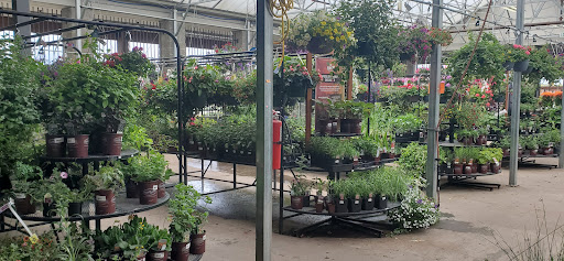 Hardware Store «McLendon Hardware», reviews and photos, 1015 N Pearl St, Tacoma, WA 98406, USA