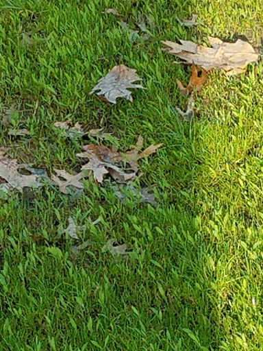 Park «DeHart Park», reviews and photos, 120 Burnett Ave, Maplewood, NJ 07040, USA