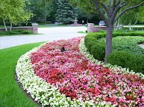 David J. Frank Landscape Contracting - Car repair in Monona, WI, Madison - Rated 5.0/5