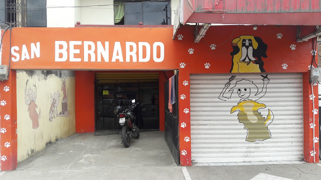 Centro Veterinario "San Bernardo"