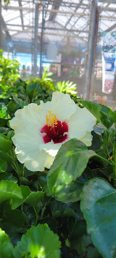 Home Improvement Store «The Home Depot», reviews and photos, 1524 E Brandon Blvd, Brandon, FL 33511, USA