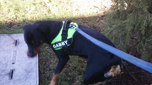 Park «Ward Park», reviews and photos, 57 Orchard St, Marlborough, MA 01752, USA