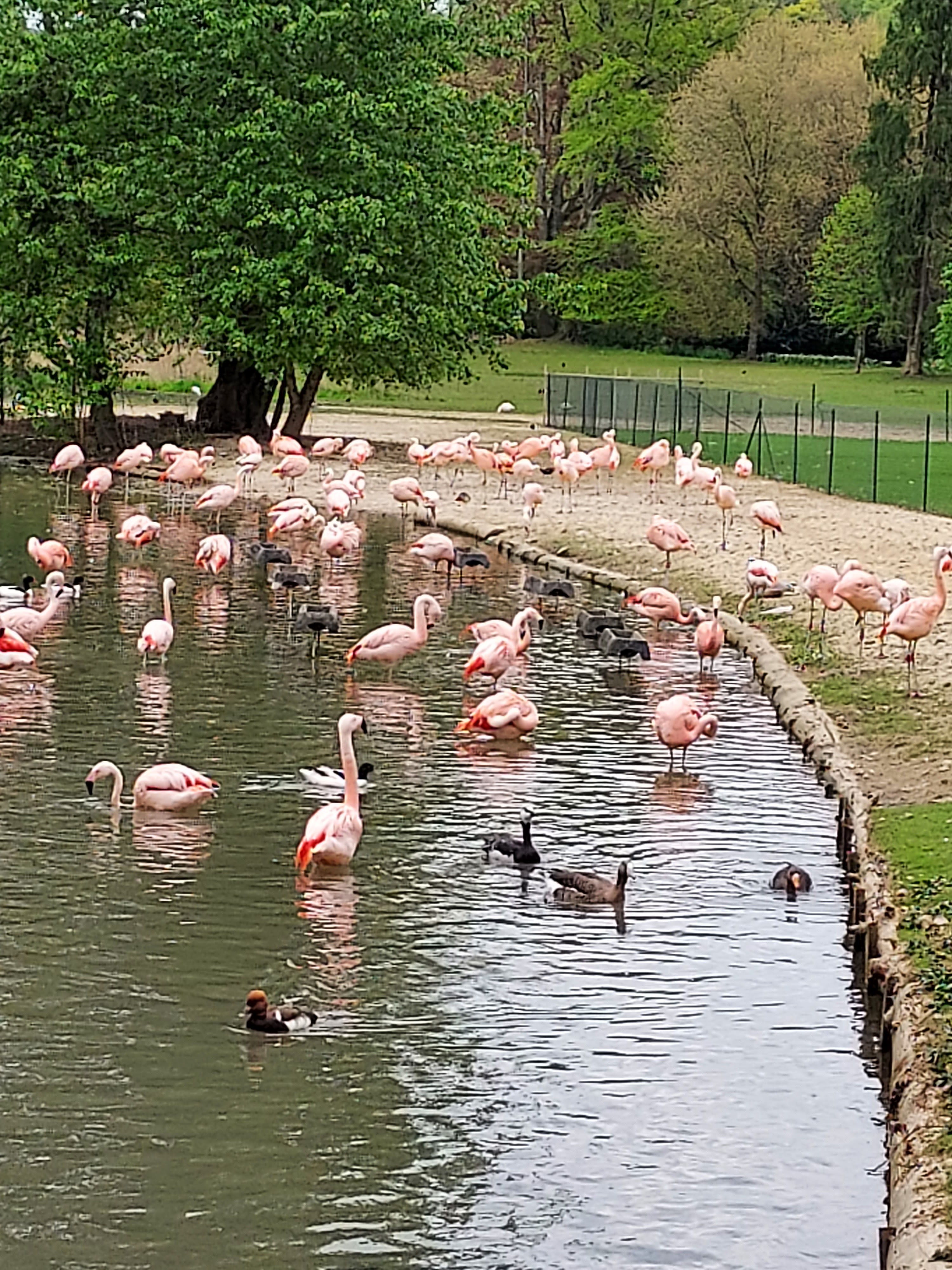 Photo n° 3 de l'avis de Annick.u fait le 01/05/2022 à 20:22