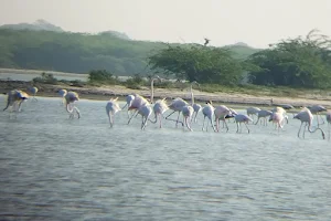 HE4US Flamingo Guides image
