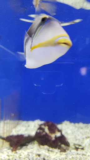 Pet Store «Fin-N-Feather», reviews and photos, 2931 F St, Eureka, CA 95501, USA