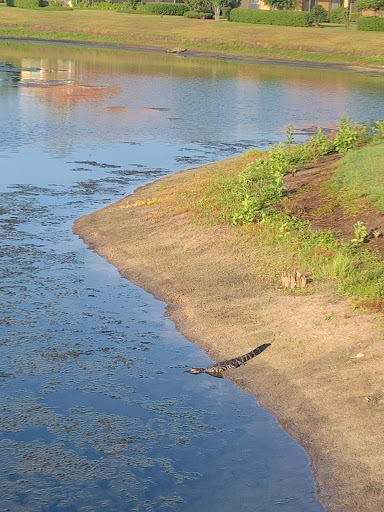 Golf Club «Stonegate Golf Club at Solivita», reviews and photos, 404 Village Drive, Kissimmee, FL 34759, USA