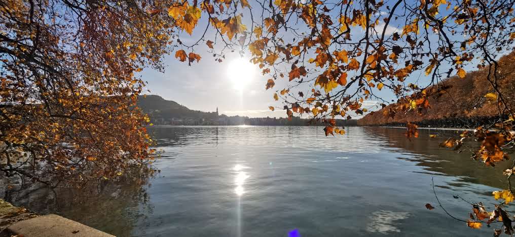 Photo n° 46 de l'avis de pascalsaintjames. fait le 20/11/2023 à 14:11