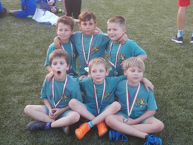 Opinii despre Martonvásári focipálya în Martonvásár - Sportpálya