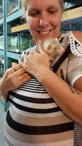 Pet Store «Island Pet Shop», reviews and photos, 55 Goodwin Dr # 102, Merritt Island, FL 32952, USA