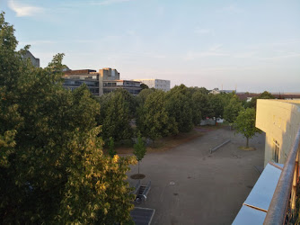 Fachgruppe Chemie Universität Stuttgart