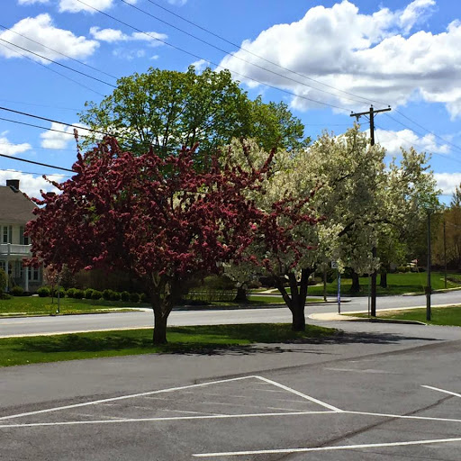 Event Planner «Blue Heron Events», reviews and photos, 407 S Washington St, Greencastle, PA 17225, USA