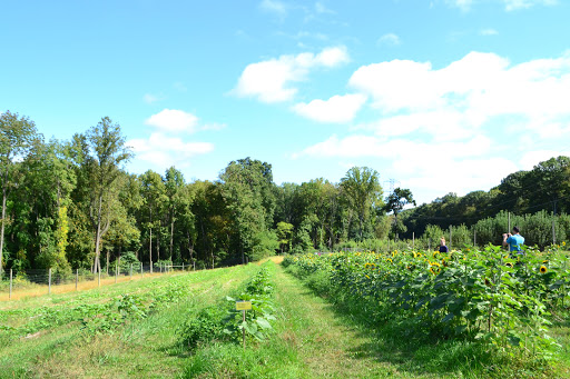 Orchard «Riamede Farm», reviews and photos, 122 Oakdale Rd, Chester, NJ 07930, USA