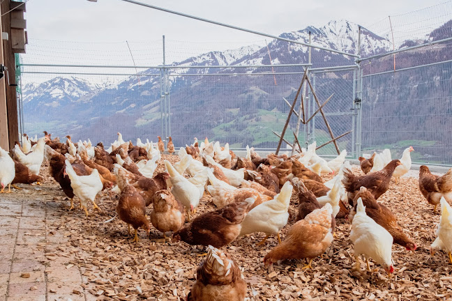 Bio-Hof Schwandacher - Automat mit frischen Hofprodukten - Bioladen