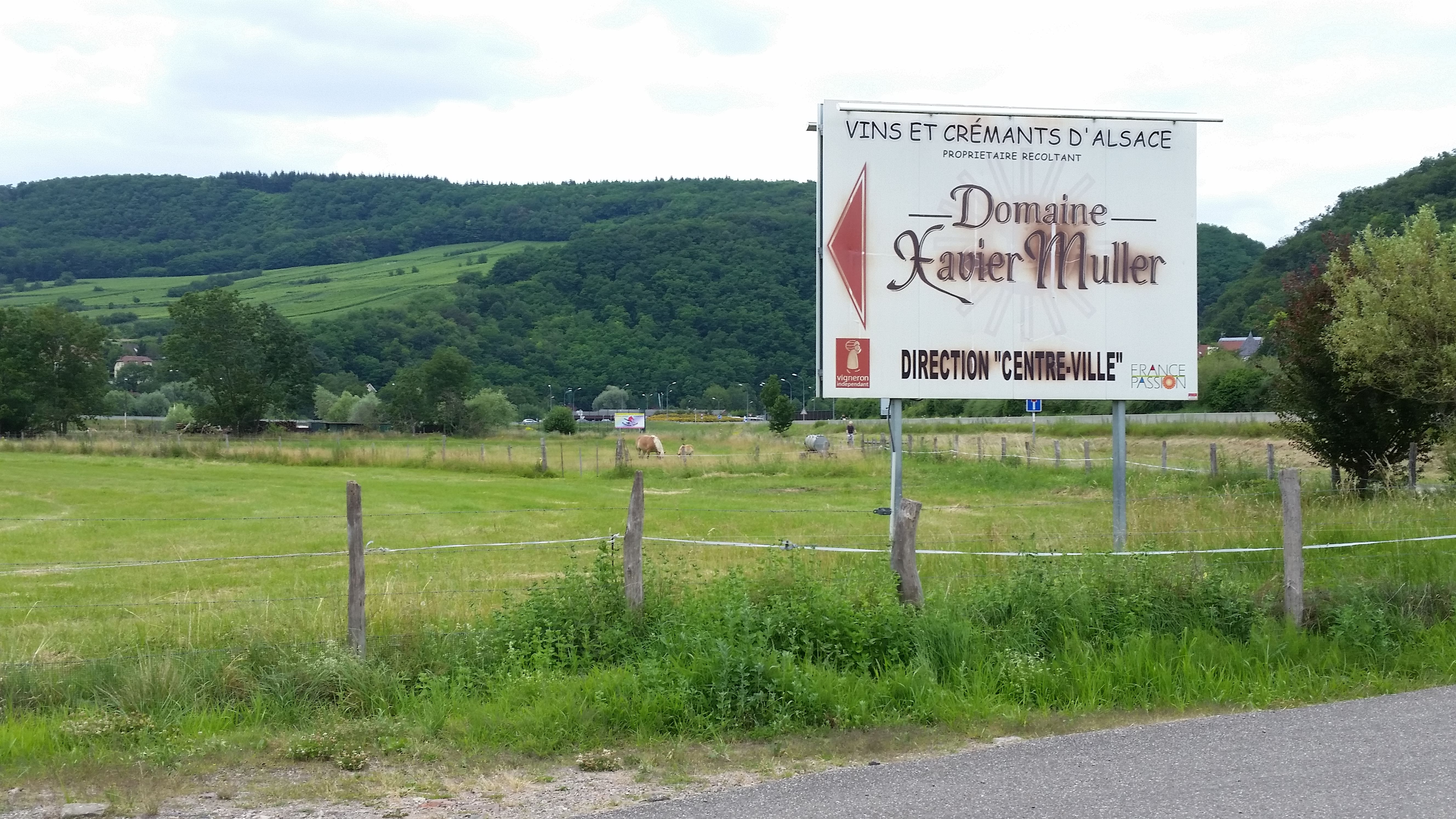 Photo n° 1 de l'avis de Gill. fait le 24/06/2018 à 18:03