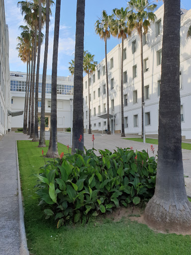 Parque Sanitario Pere Virgili Edificio Mistral