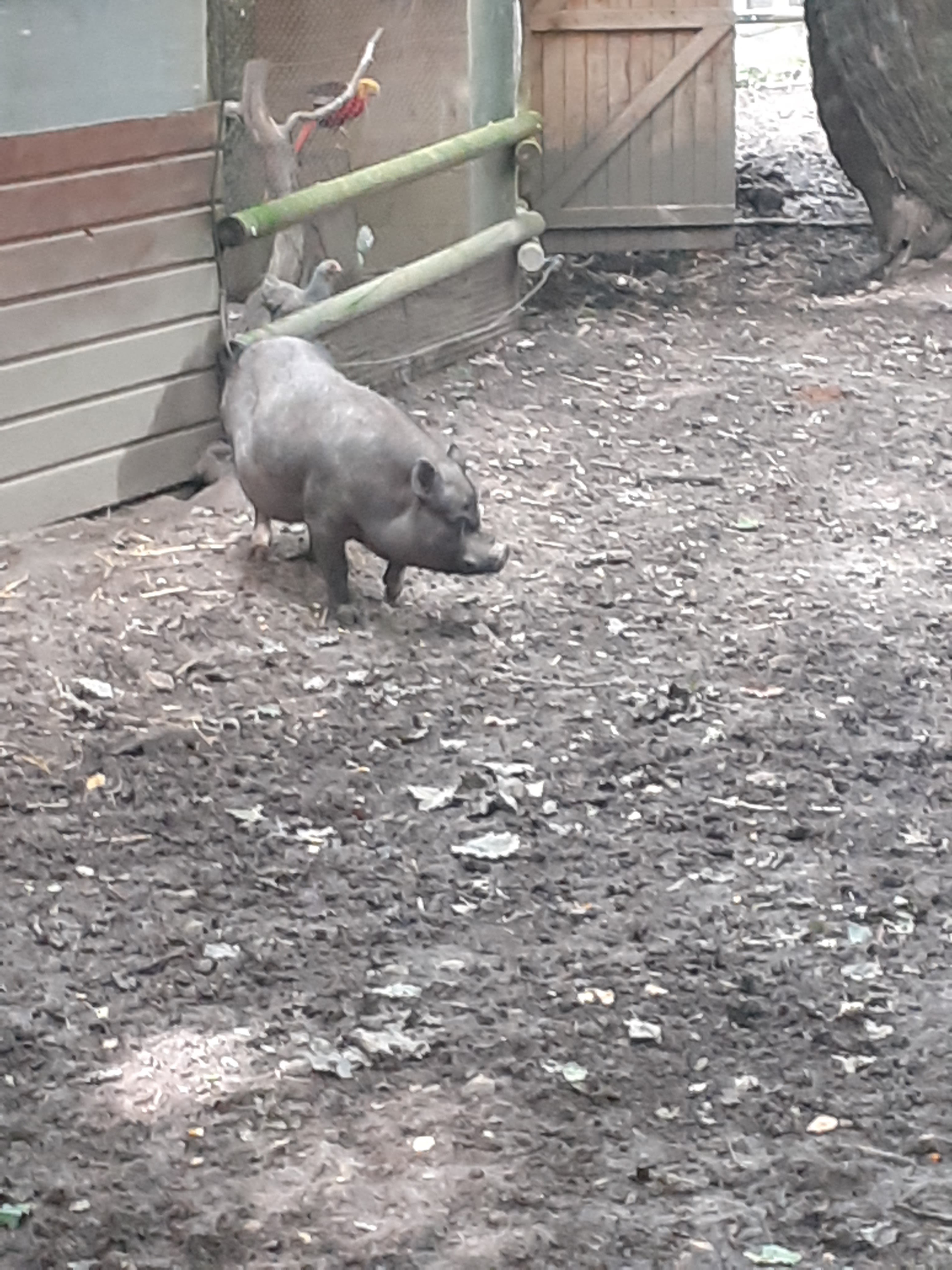 Photo n° 2 de l'avis de Katia.o fait le 13/08/2023 à 16:39