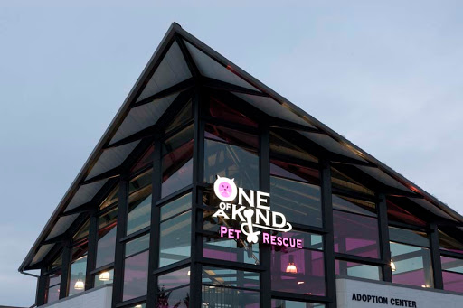 One of A Kind Pet Rescue, 1929 W Market St, Akron, OH 44313, USA, 