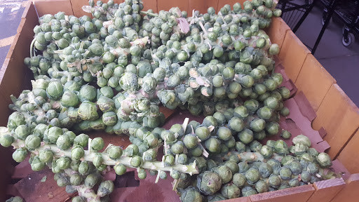 Grocery Store «Safeway», reviews and photos, 12032 SE Sunnyside Rd, Clackamas, OR 97015, USA