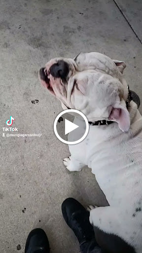 Night Club «The WELL Drink•Dine•Dance», reviews and photos, 5539 UTSA Boulevard, San Antonio, TX 78249, USA