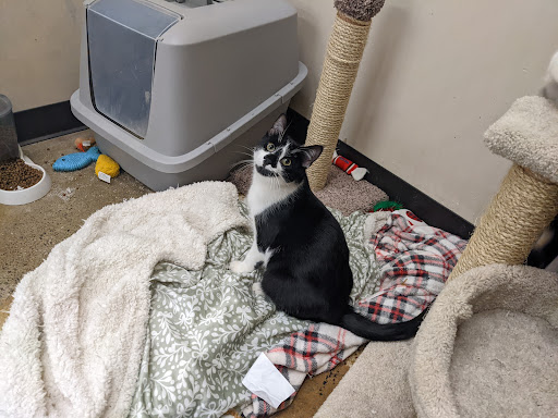 Pet Supply Store «Pet Supplies Plus», reviews and photos, 531 Monroe Ave, Rochester, NY 14607, USA