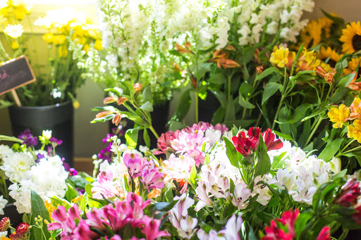 Florist «Copper Penny Flowers», reviews and photos, 9 Independence Ct, Concord, MA 01742, USA