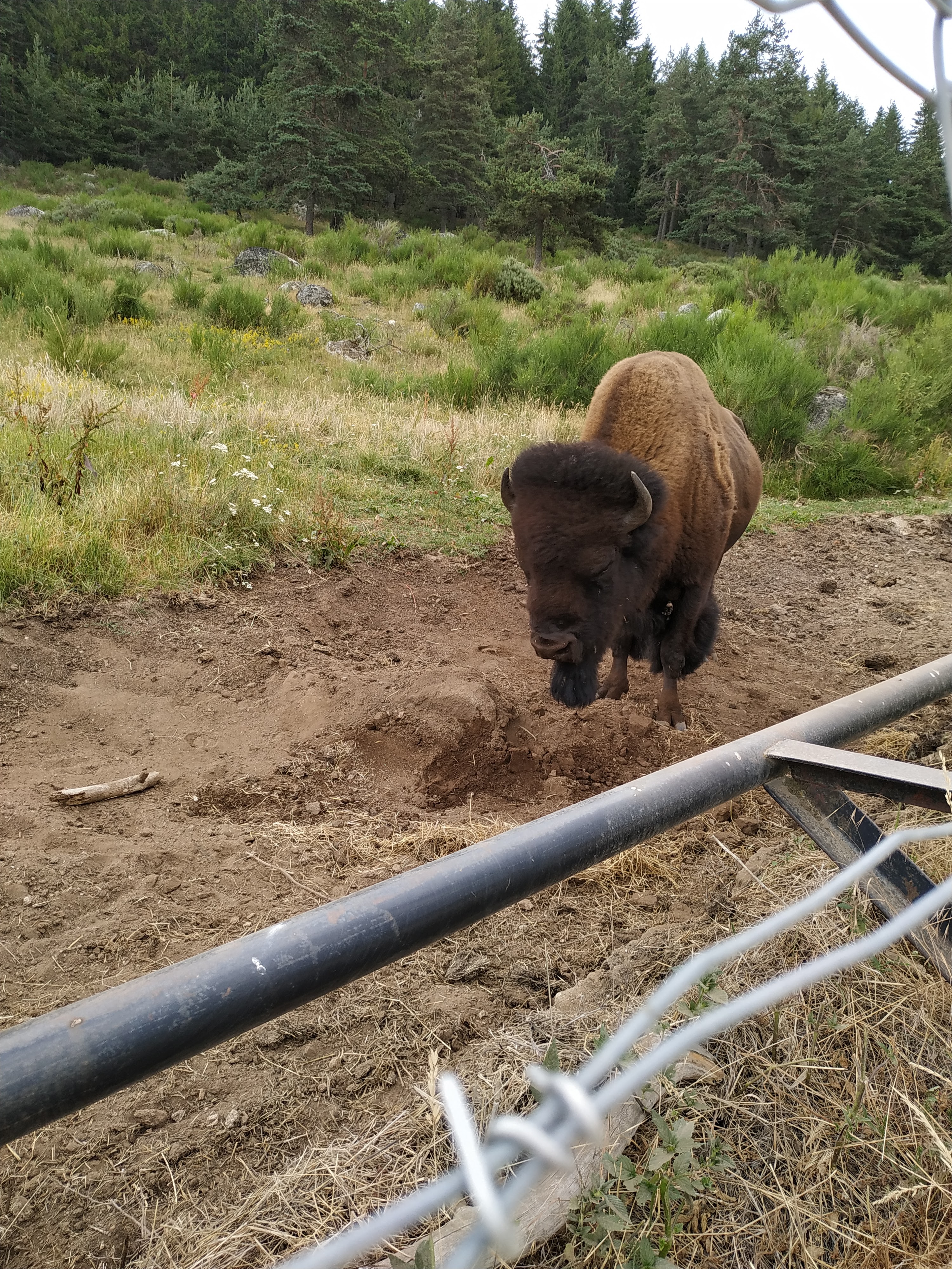 Photo n° 1 de l'avis de Virginie.I fait le 27/07/2019 à 08:17