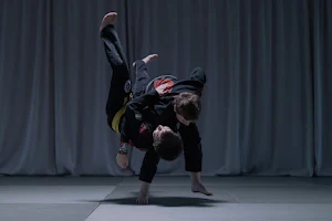 Martial Arts Academy Geneva image