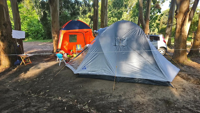 Opiniones de Camping La Moza en Castillos - Camping