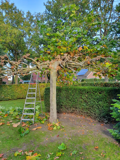Hoveniersbedrijf Tuinspecialist 't Stekje